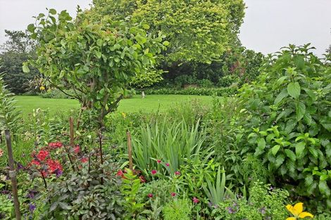 Photo of property in 769 No 1 Road, Te Puke, 3182