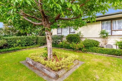 Photo of property in 77 York Avenue, Tamatea, Napier, 4112