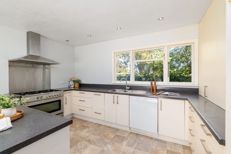 Photo of property in 51 Hope Street, Shirley, Christchurch, 8013