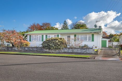 Photo of property in 19 Green Avenue, Levin, 5510