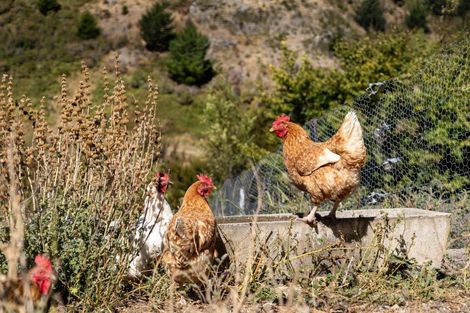 Photo of property in 3992 Waihopai Valley Road, Waihopai Valley, Blenheim, 7276