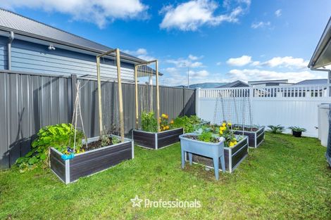 Photo of property in 31 Castletown Street, Wallaceville, Upper Hutt, 5018