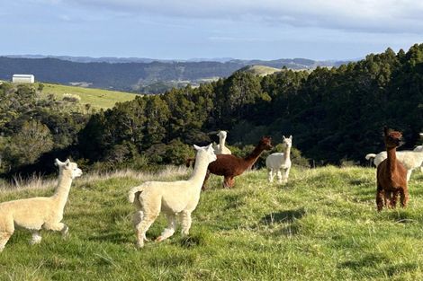 Photo of property in 55 M Greenwood Road, Leigh, 0972