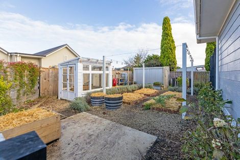Photo of property in 52 Cologne Street, Martinborough, 5711