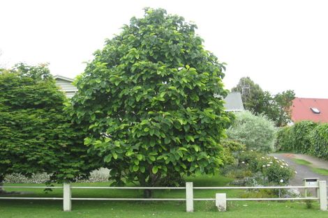 Photo of property in 150 Fraser Street, Te Awamutu, 3800