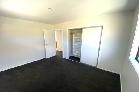 Photo of property in 29 Elizabeth Street, Richmond, 7020