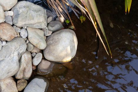Photo of property in Drummond Street, Eketahuna, 4900
