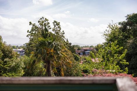 Photo of property in 38 Towers Street, Paeroa, 3600