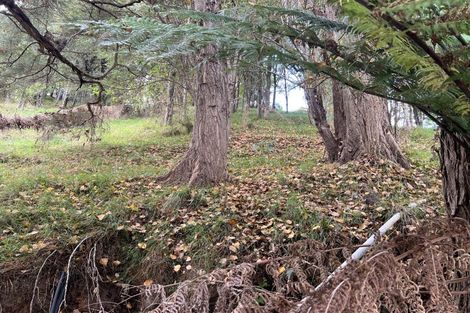 Photo of property in 16 Manuka Drive, Whangamata, 3691