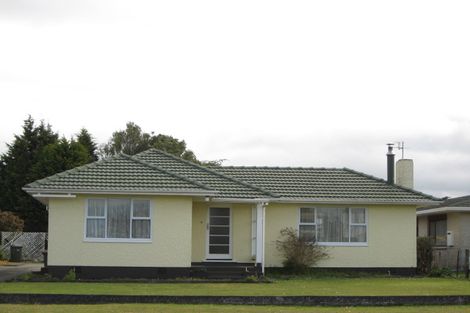 Photo of property in 113 Brecon Road, Stratford, 4332