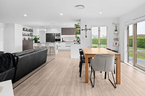 Photo of property in 47 The Esplanade, Huntington, Hamilton, 3210