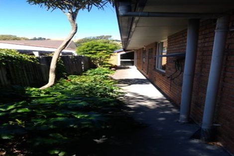 Photo of property in 51 Grange Street, Hillsborough, Christchurch, 8022
