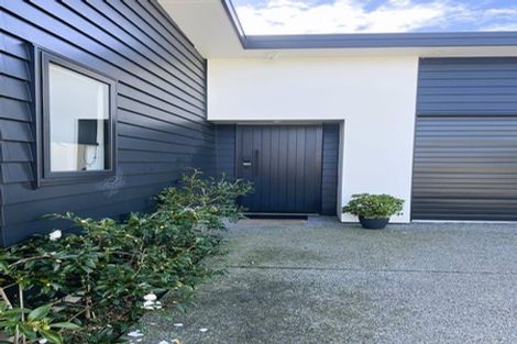 Photo of property in 99c Linton Street, West End, Palmerston North, 4410