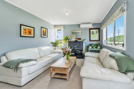 Photo of property in 253 Burts Road, Southbridge, 7682