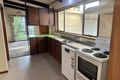 Photo of property in 36 Alison Street, Hamilton Lake, Hamilton, 3204