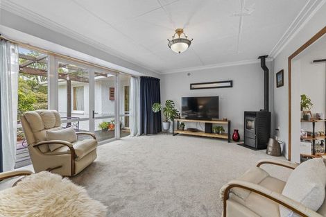 Photo of property in 19 Herron Street, Brockville, Dunedin, 9011