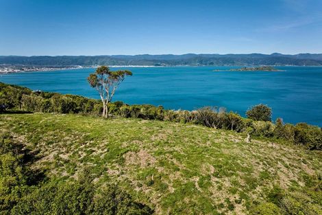 Photo of property in 50 Dungarvan Road, Newlands, Wellington, 6037