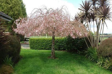 Photo of property in 288 Mystery Creek Road, Ohaupo, 3881