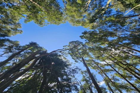 Photo of property in 307 Whananaki North Road, Opuawhanga, Hikurangi, 0181