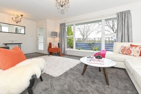 Photo of property in 214 Portsmouth Road, Flaxmere, Hastings, 4120