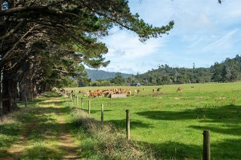 Photo of property in 1409 Collingwood-puponga Main Road, Pakawau, Collingwood, 7073