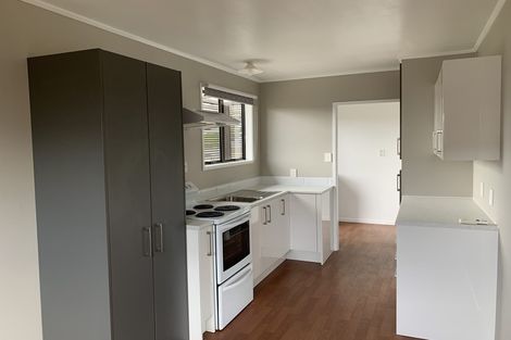 Photo of property in 45 Hooper Avenue, Pukekohe, 2120