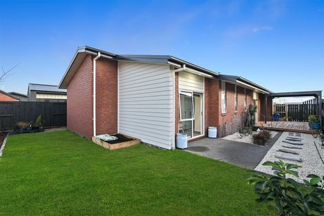 Photo of property in 22 Medland Place, Chartwell, Hamilton, 3210
