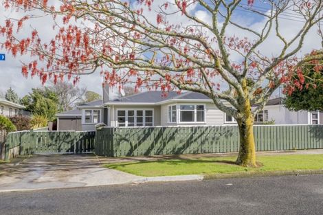Photo of property in 51 Graham Street, Levin, 5510