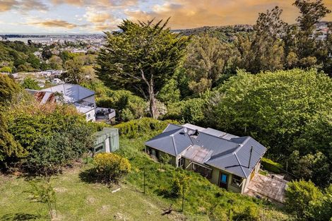 Photo of property in 12 Harold Street, North East Valley, Dunedin, 9010