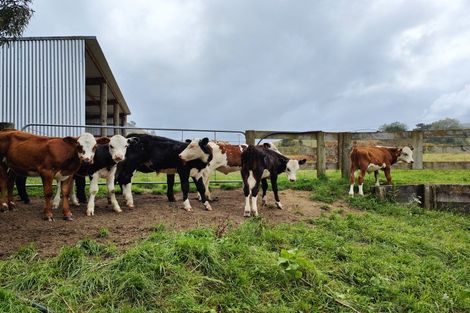Photo of property in 1765 Tutukau Road, Ohakuri, Reporoa, 3083