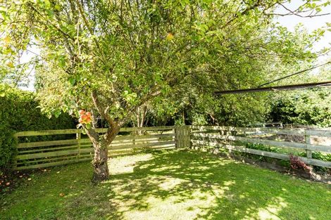 Photo of property in 17 George Street, Milton, 9220