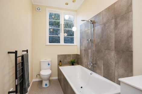 Photo of property in 19 Frederick Street, Terrace End, Palmerston North, 4410