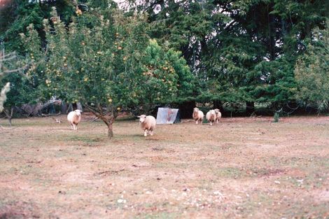 Photo of property in 618 Holland Road, Eureka, Hamilton, 3286