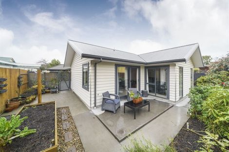 Photo of property in 11a Margaret Street, Roslyn, Palmerston North, 4414