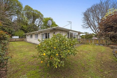 Photo of property in 99 Hamlet Street, Stratford, 4332