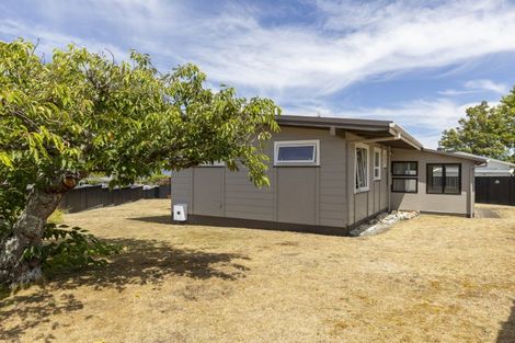 Photo of property in 153 Te Heuheu Street, Taupo, 3330