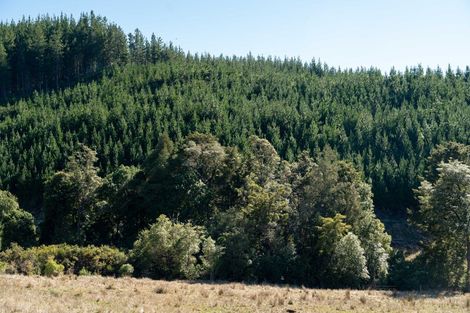 Photo of property in 96 Sunridge Park Road, Morrinsville, 3375