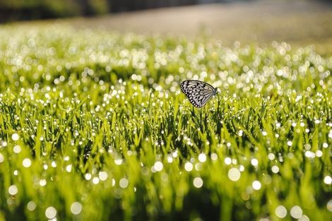 Photo of property in 48 George Street, Riverhead, 0820