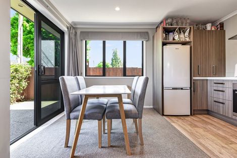 Photo of property in 30u1 Willoughby Street, Whitiora, Hamilton, 3200