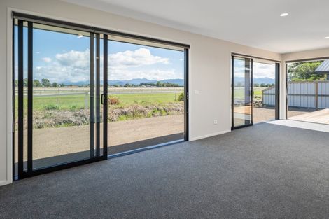Photo of property in 17b Penny Street, Mayfield, Blenheim, 7201