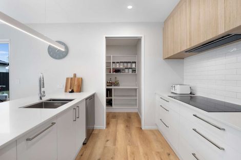 Photo of property in 87 Benashet Drive, Lincoln, 7608