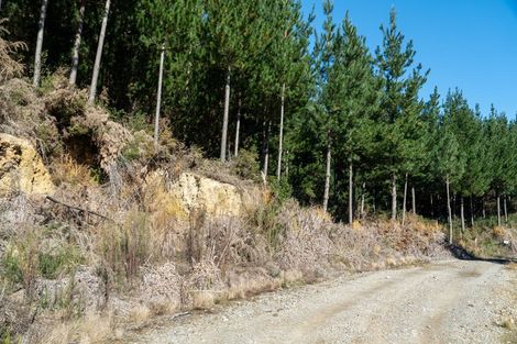 Photo of property in 96 Sunridge Park Road, Morrinsville, 3375