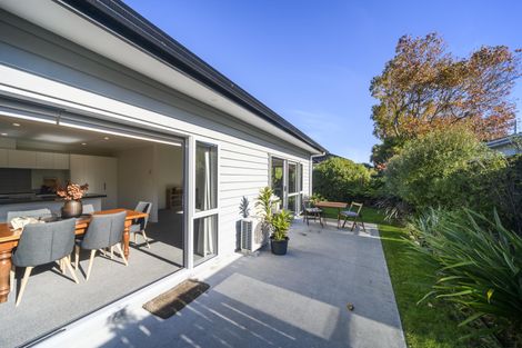 Photo of property in 41 Karina Terrace, Roslyn, Palmerston North, 4414