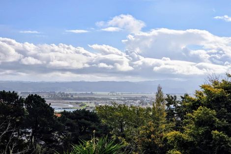 Photo of property in 2 Coleman Terrace, Hospital Hill, Napier, 4110