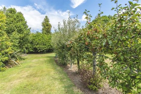 Photo of property in 1280 Omanawa Road, Omanawa, Tauranga, 3171