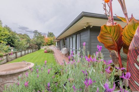 Photo of property in 2 Petersen Place, Waipukurau, 4200