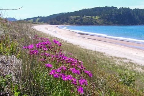 Photo of property in 69 Pye Place, Hot Water Beach, Whitianga, 3591