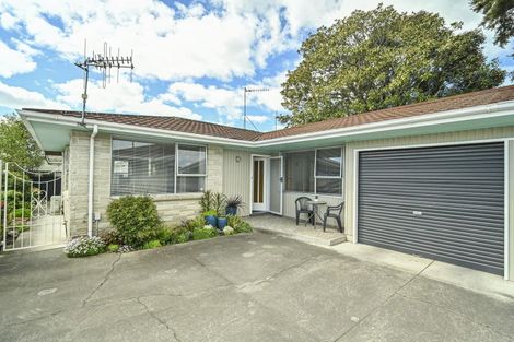 Photo of property in 220b Wolseley Street, Mayfair, Hastings, 4122