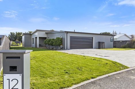 Photo of property in 12 Wycliffe Place, Solway, Masterton, 5810