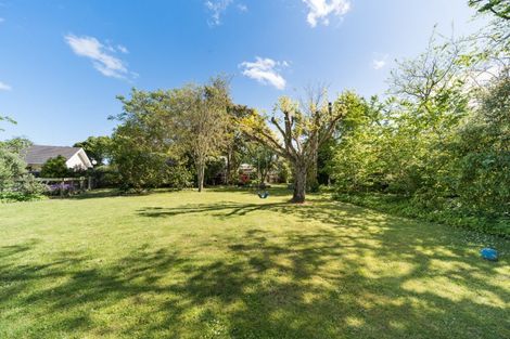 Photo of property in 269 Cambridge Avenue, Ashhurst, 4810